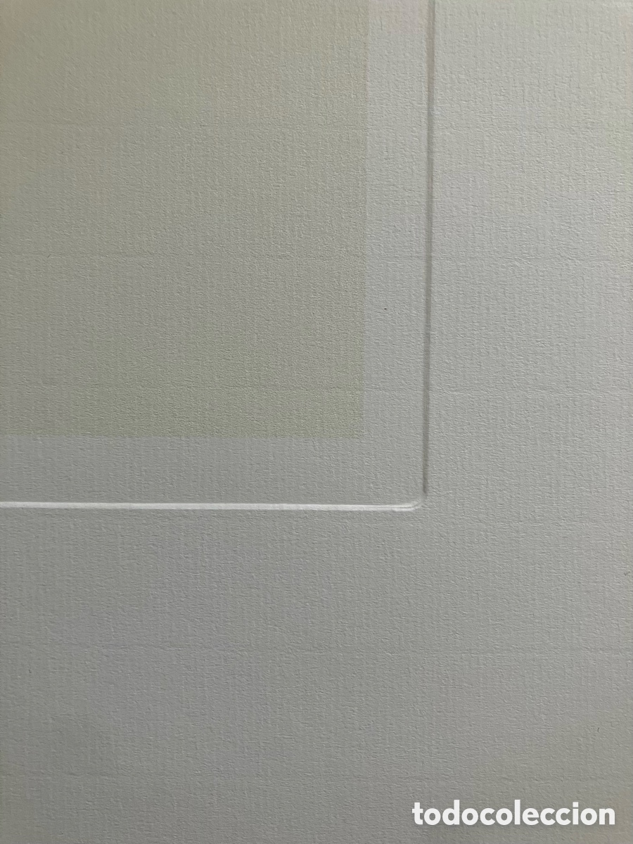 Otros objetos de arte: L&aacute;mina Picasso buhito - Foto 5
