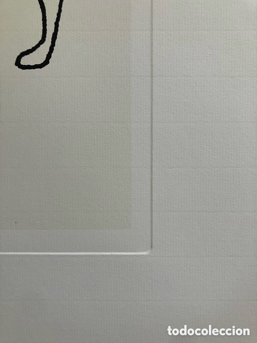 Otros objetos de arte: L&aacute;mina camello Picasso - Foto 4