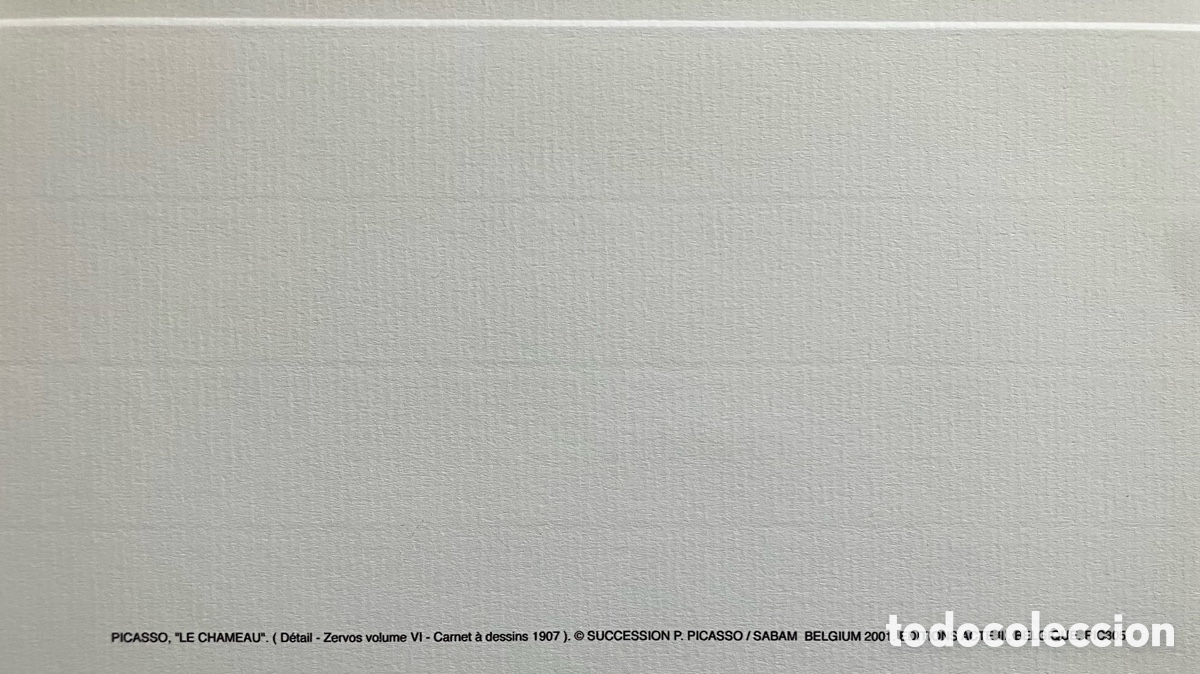 Otros objetos de arte: L&aacute;mina camello Picasso - Foto 5