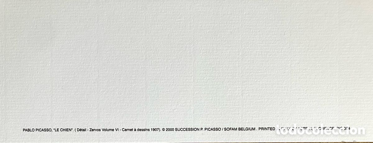 Otros objetos de arte: L&aacute;mina perrito Pucasso - Foto 4