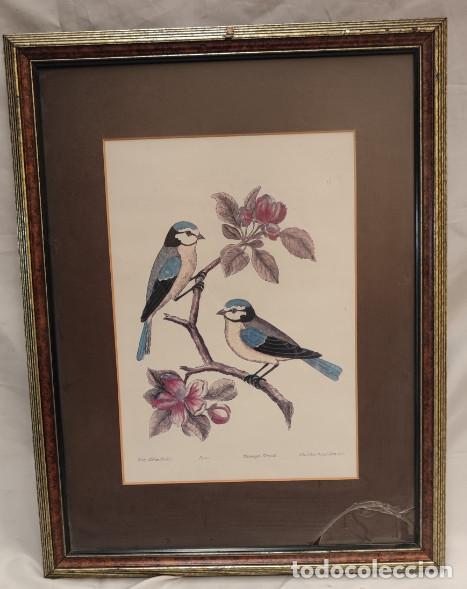 Otros objetos de arte: BONITO CUADRO CON LAMINA LITOGRAFIA O SIM., PAJAROS
