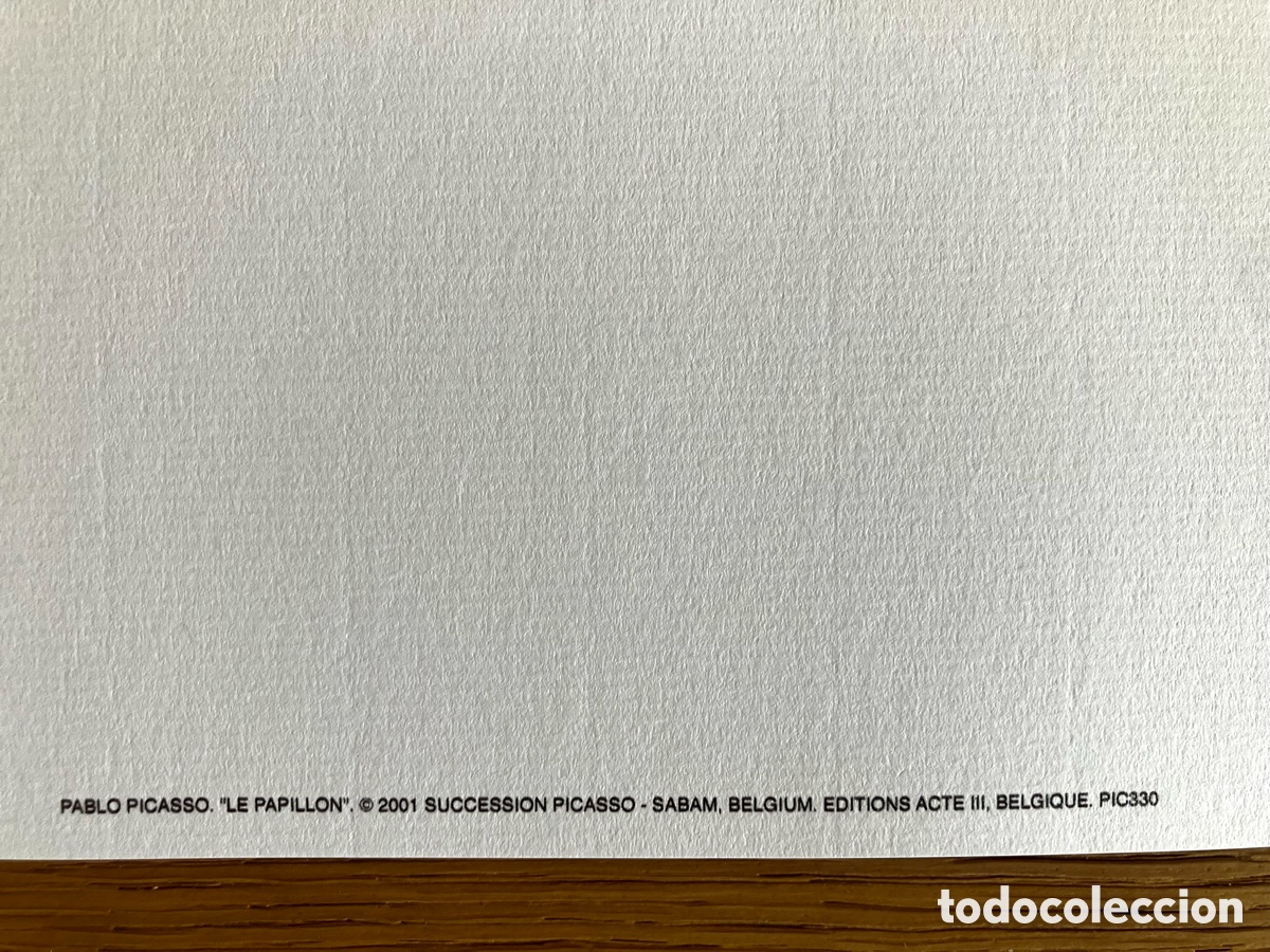 Otros objetos de arte: L&aacute;mina Picasso mariposa - Foto 4