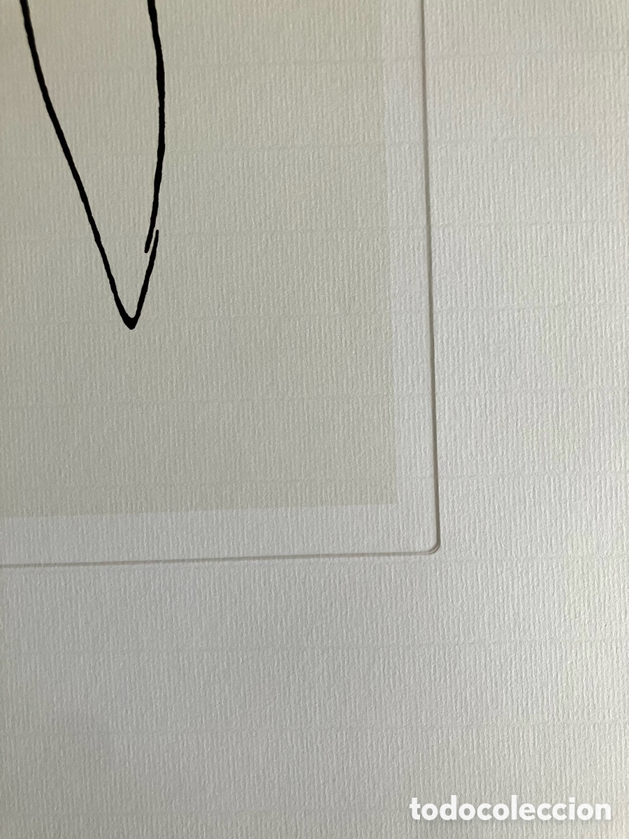 Otros objetos de arte: L&aacute;mina Picasso Ping&uuml;ino - Foto 5