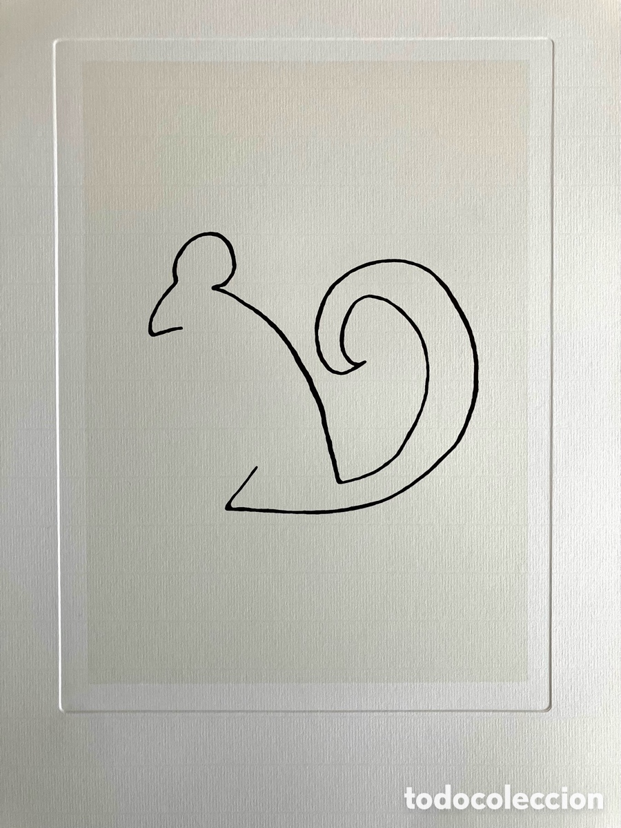 Otros objetos de arte: L&aacute;mina ardilla Picasso
