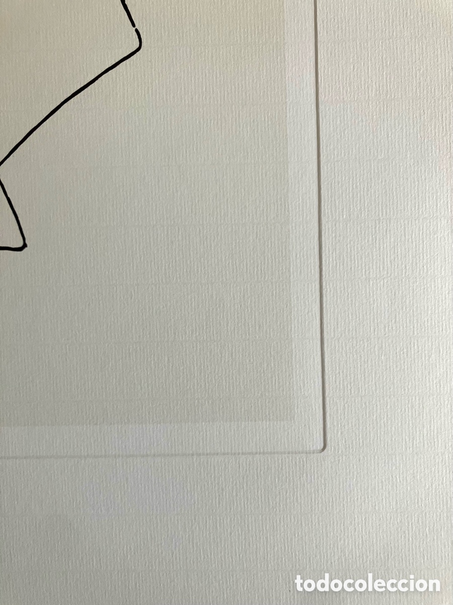 Otros objetos de arte: L&aacute;mina de Picasso p&aacute;jaro - Foto 4