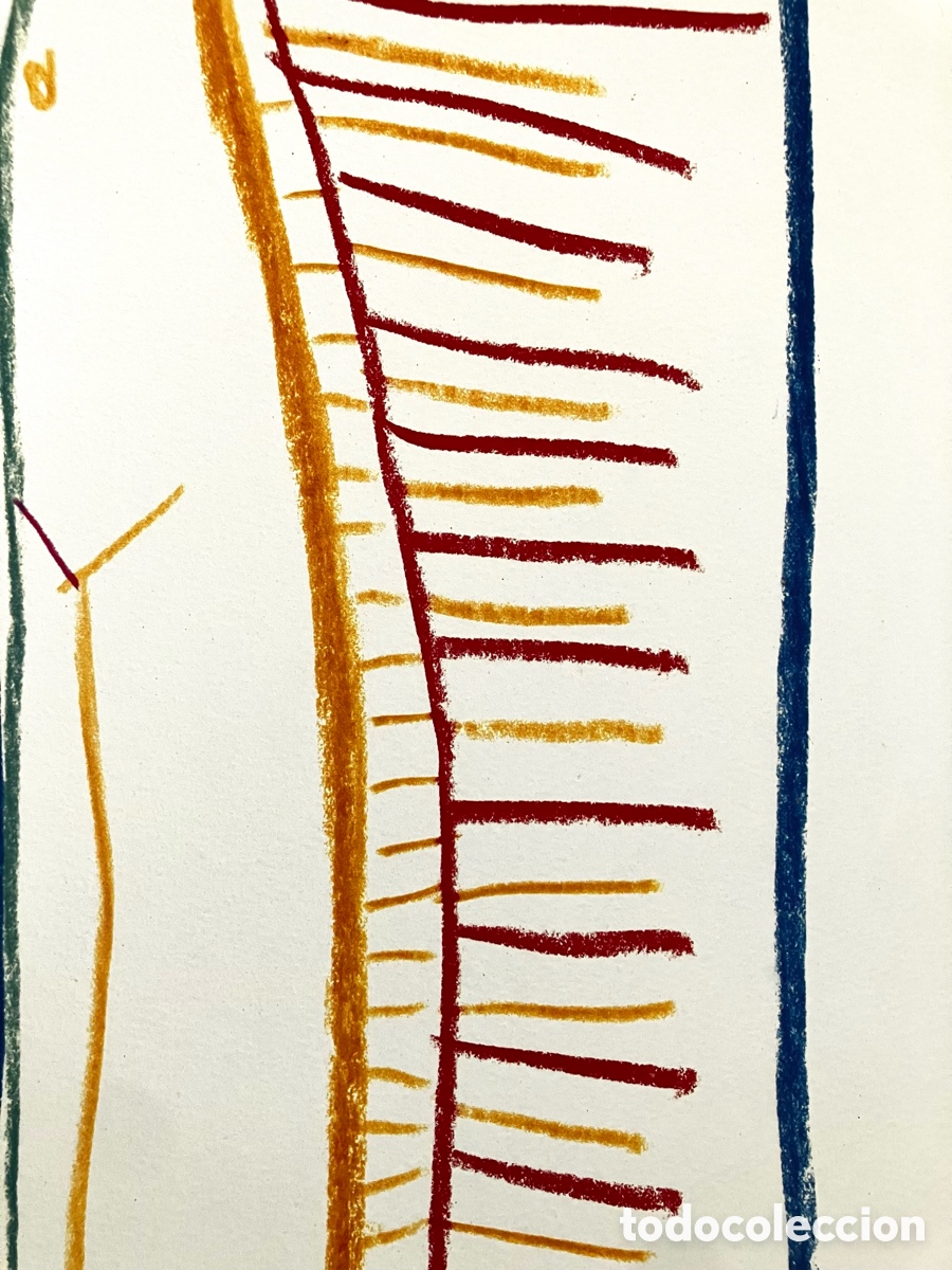 Otros objetos de arte: L&aacute;mina Picasso colorida - Foto 5