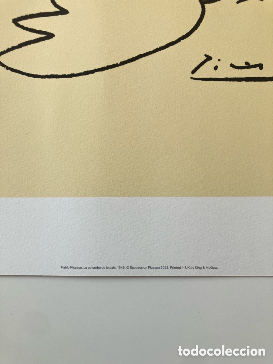 Otros objetos de arte: L&aacute;mina Picasso paloma - Foto 2