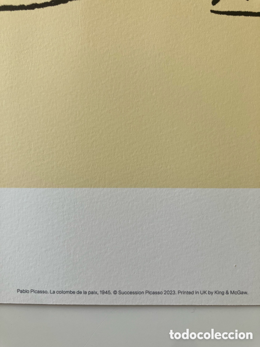 Otros objetos de arte: L&aacute;mina Picasso paloma - Foto 3