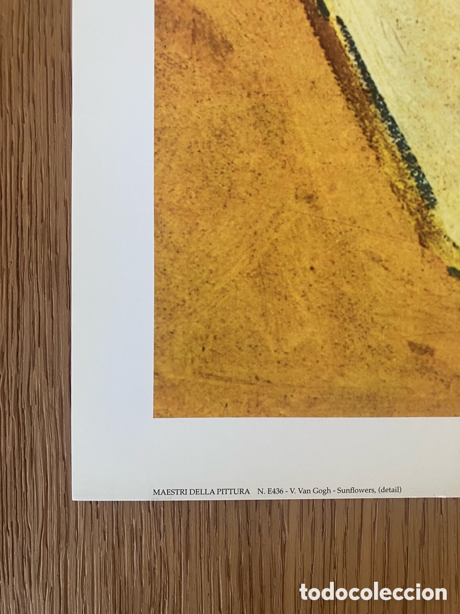 Otros objetos de arte: L&aacute;mina Van Gogh girasoles - Foto 5