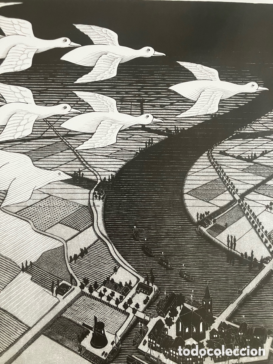 Otros objetos de arte: L&aacute;mina Escher efecto &oacute;ptico - Foto 3