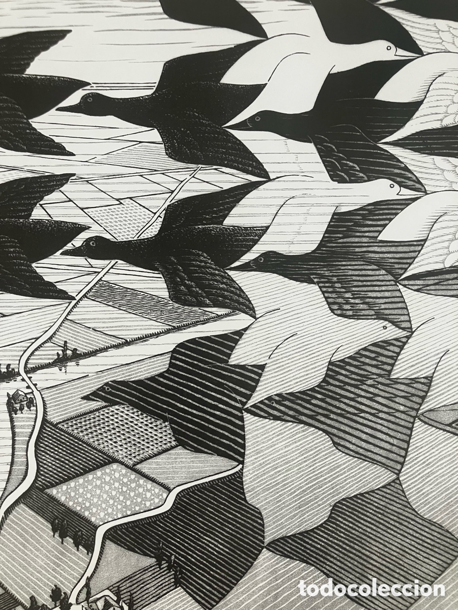 Otros objetos de arte: L&aacute;mina Escher efecto &oacute;ptico - Foto 6