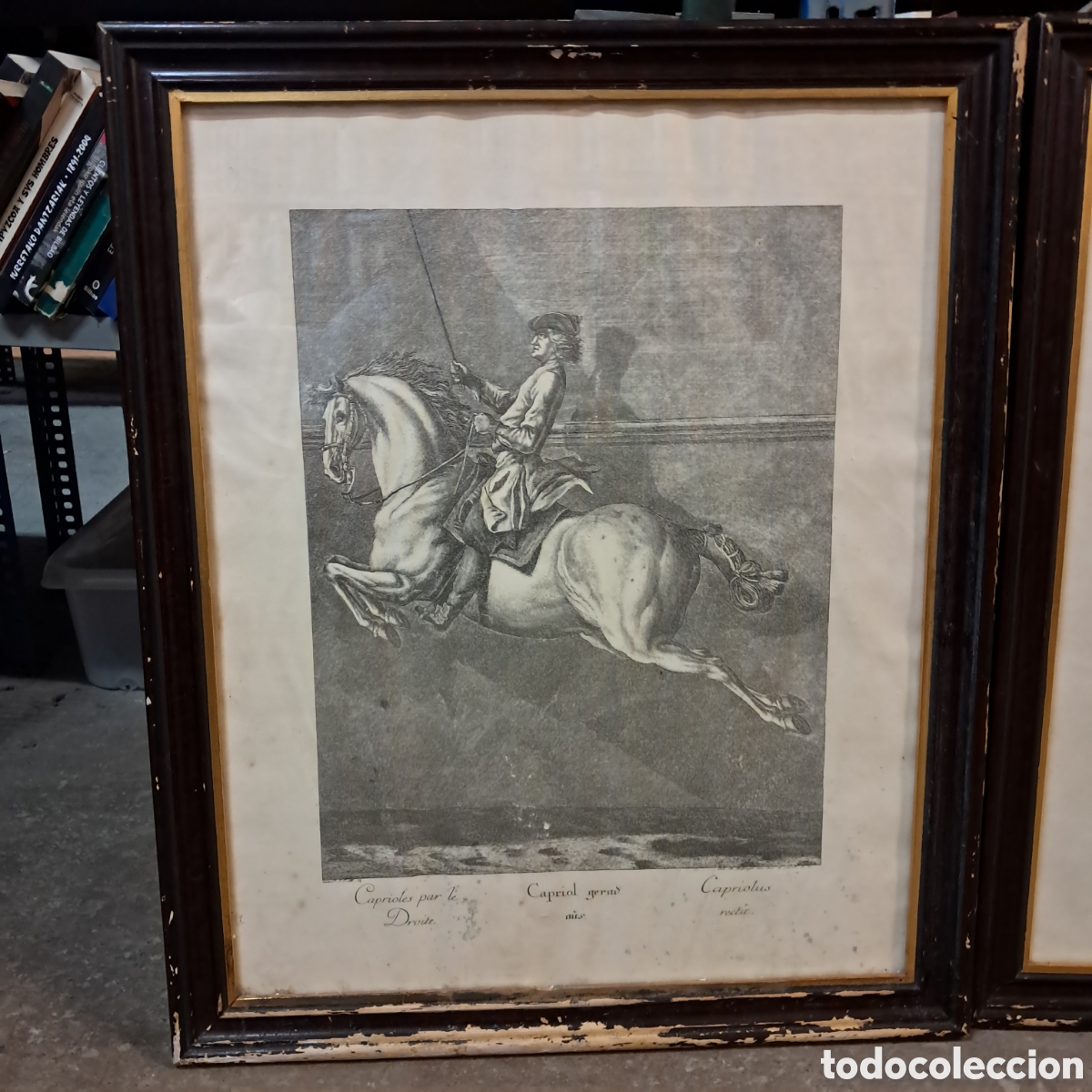 Otros objetos de arte: Tres cuadros con grabados de caballos - Foto 2
