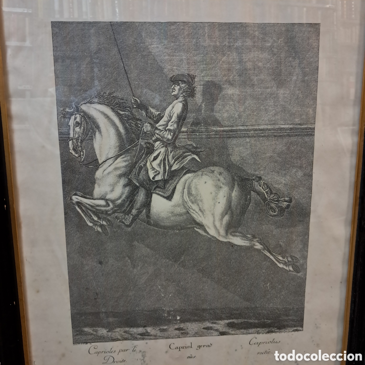 Otros objetos de arte: Tres cuadros con grabados de caballos - Foto 3