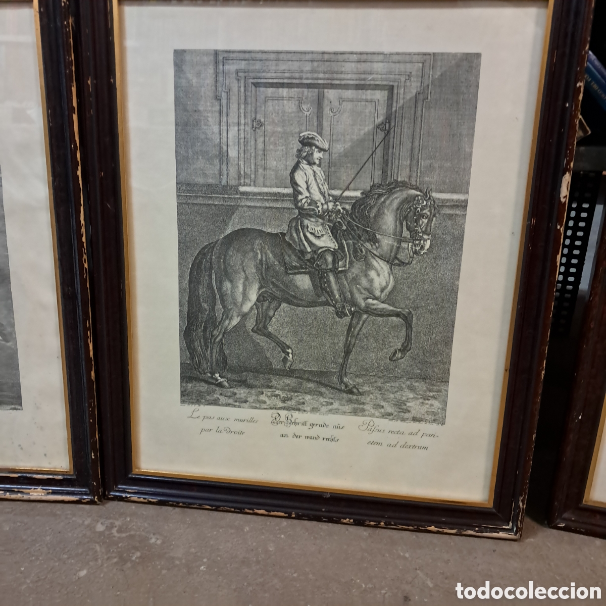 Otros objetos de arte: Tres cuadros con grabados de caballos - Foto 4