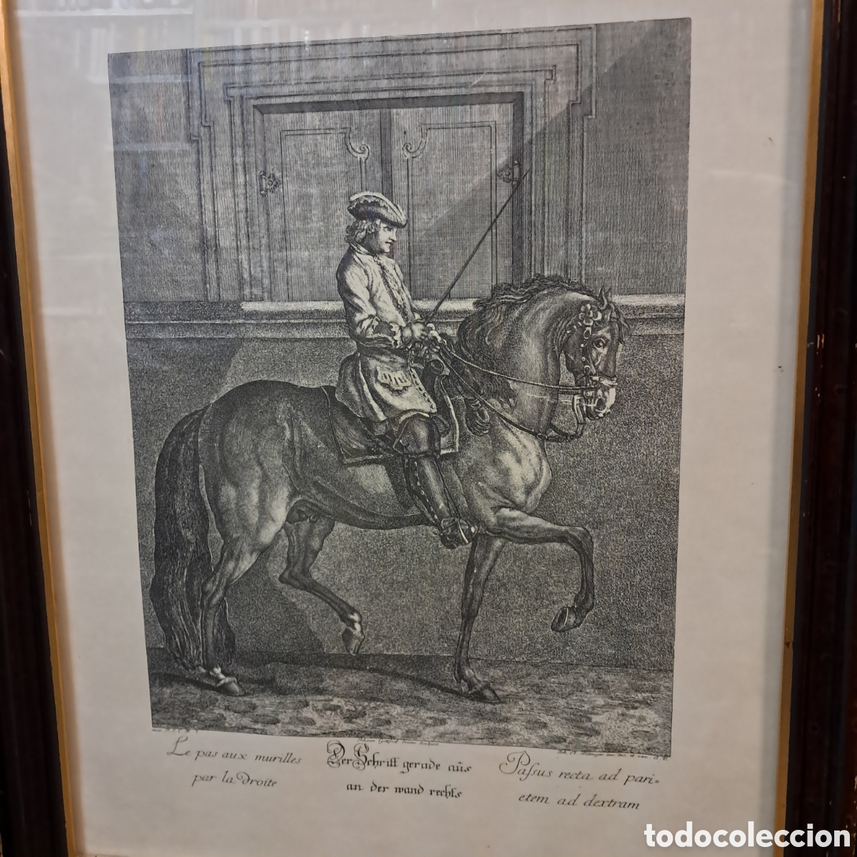 Otros objetos de arte: Tres cuadros con grabados de caballos - Foto 5