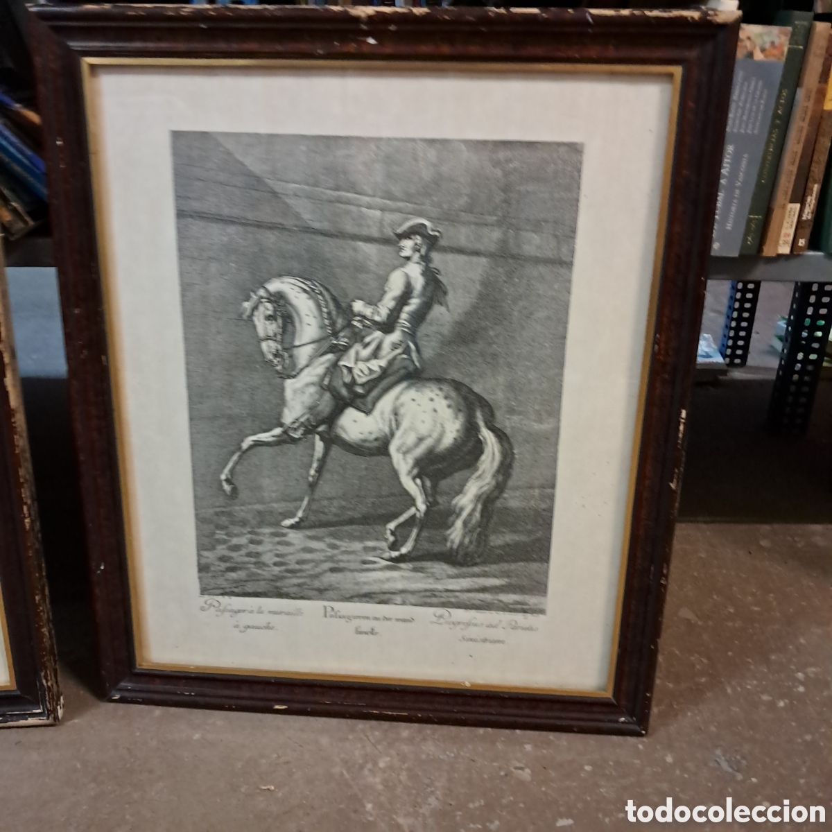 Otros objetos de arte: Tres cuadros con grabados de caballos - Foto 6