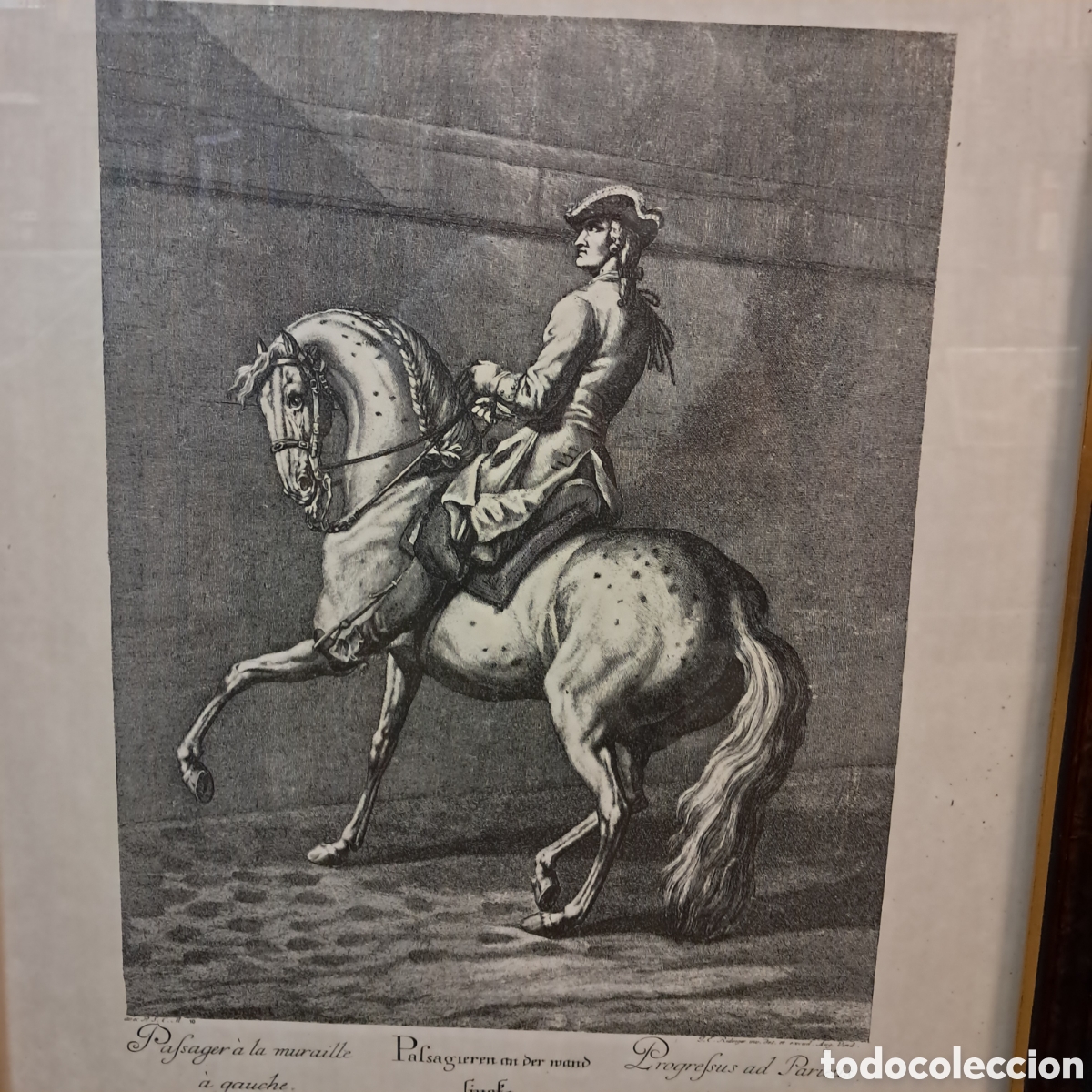 Otros objetos de arte: Tres cuadros con grabados de caballos - Foto 7