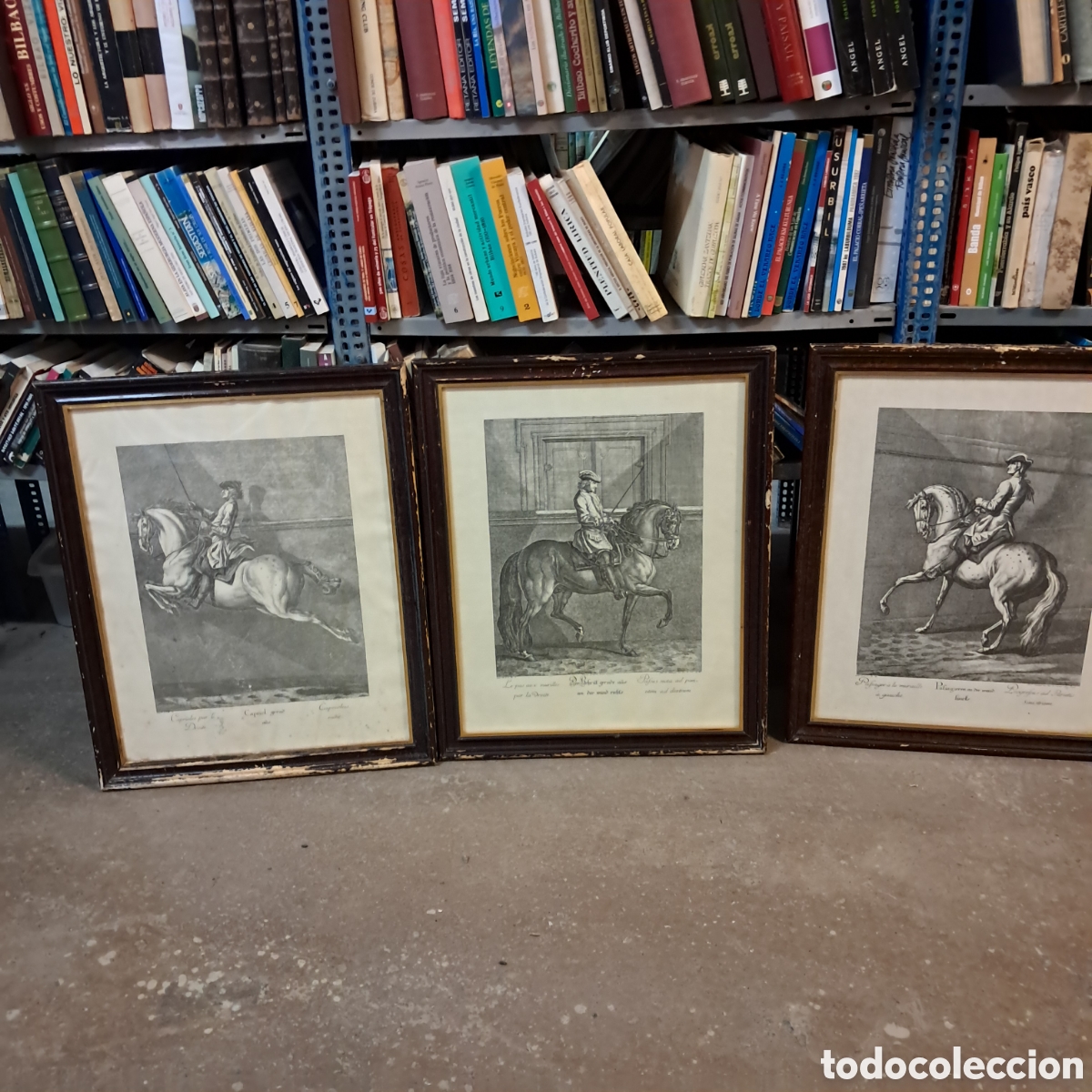Otros objetos de arte: Tres cuadros con grabados de caballos