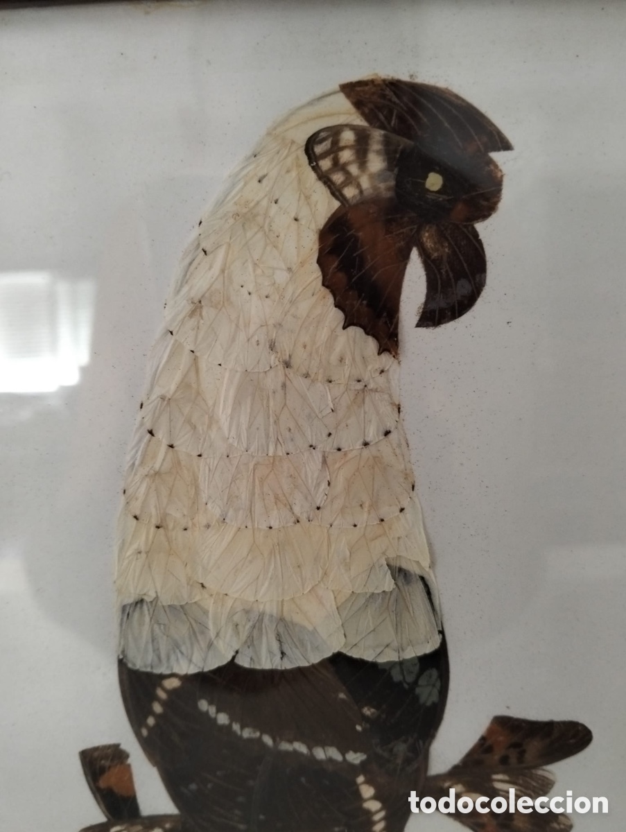 Otros objetos de arte: Cuadro artesanal, hecho con alas de mariposa - Foto 2