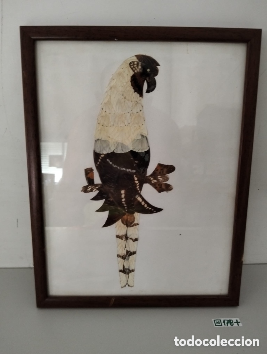 Art: Cuadro artesanal, hecho con alas de mariposa