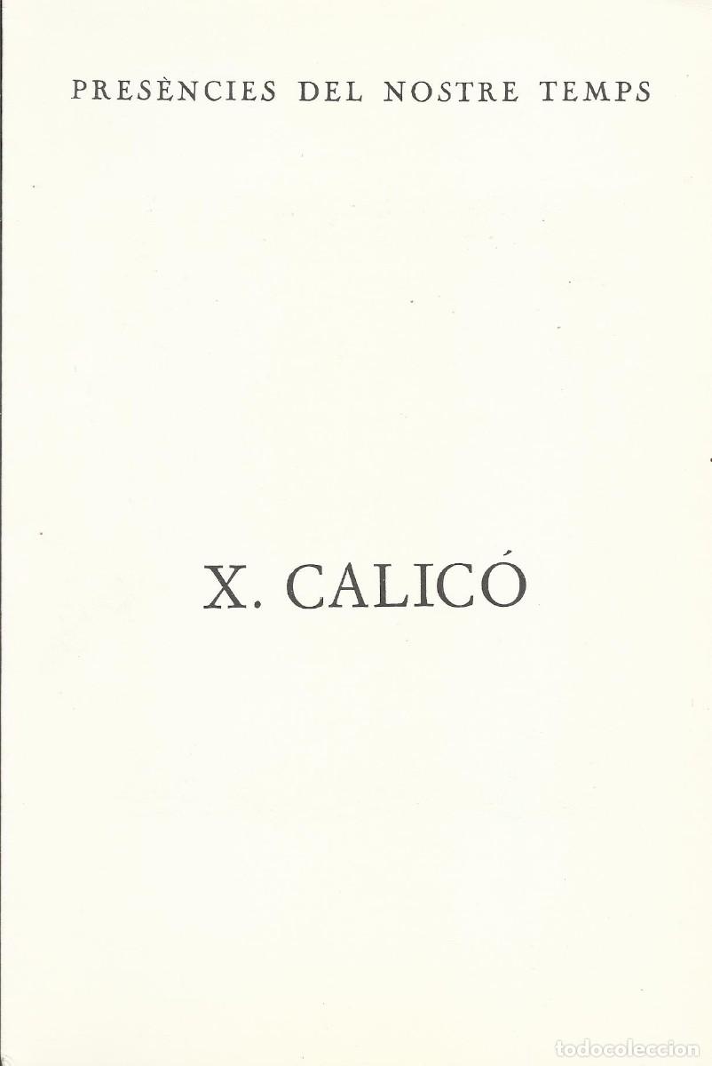 Otros objetos de arte: Xavier Calic&oacute; . Galer&iacute;a Ren&eacute; Metras. Barcelona. 1984. D&iacute;ptico. 23x17 cm. Texto de Francesc Miralles.