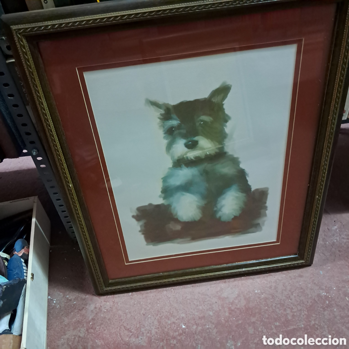 Other art objects: Acuarela con retrato de perro Schnauzer, doble pasprtuz, 74x60