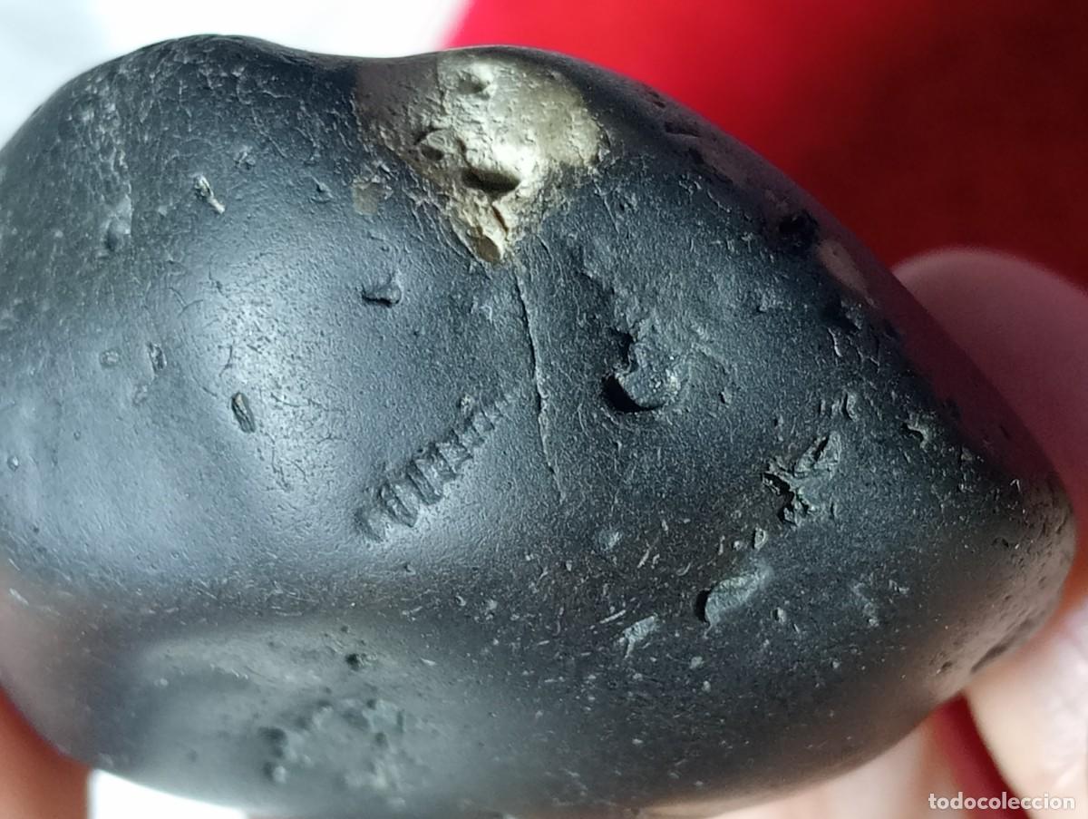Otros objetos de arte: PIEDRA CON F&Ograve;SSIL DE CRINOIDEO AUT&Egrave;NTICA (SIN USAR)