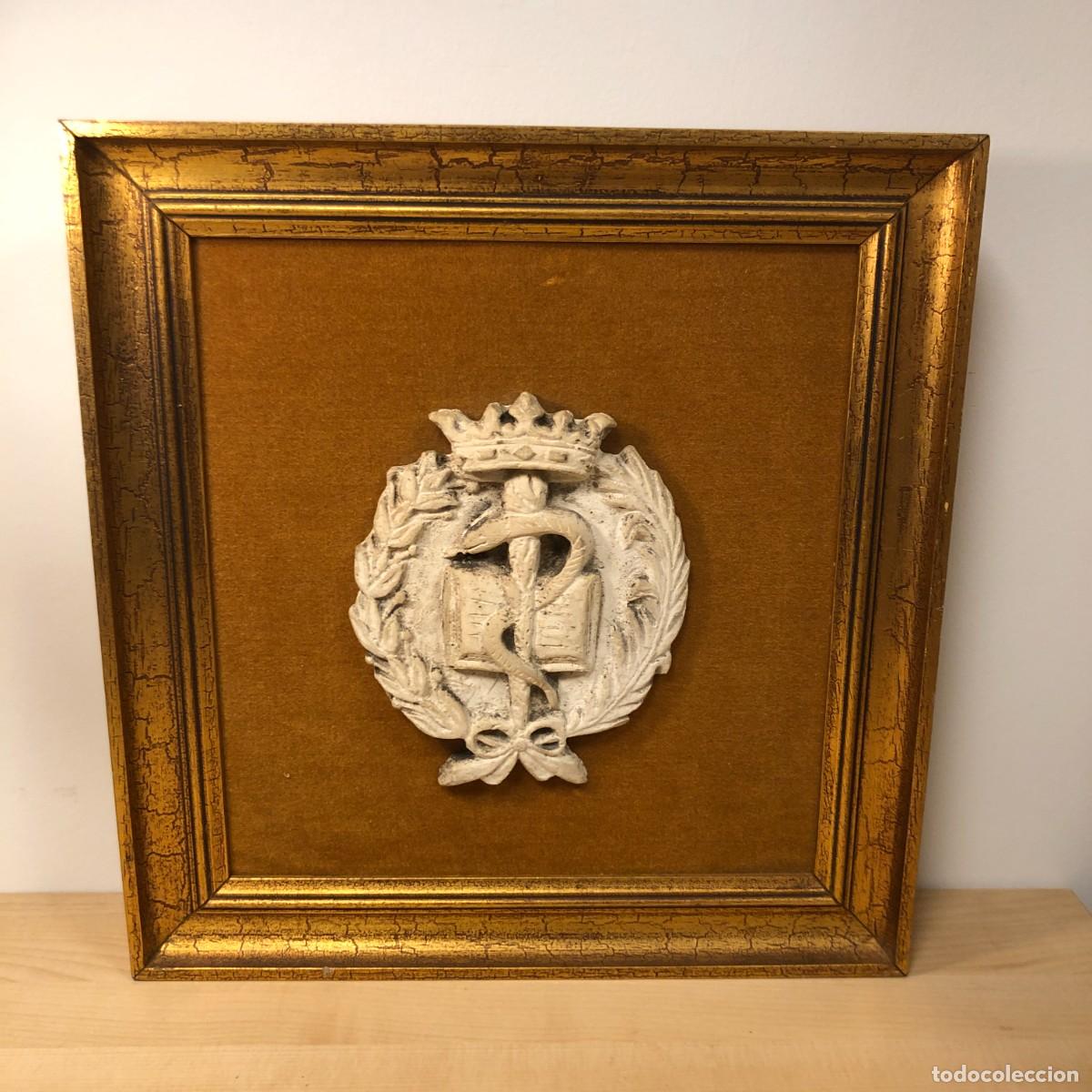 Otros objetos de arte: Placa relieve bast&oacute;n de Asclepio s&iacute;mbolo de Medicina enmarcada vintage 40 x 42 cm