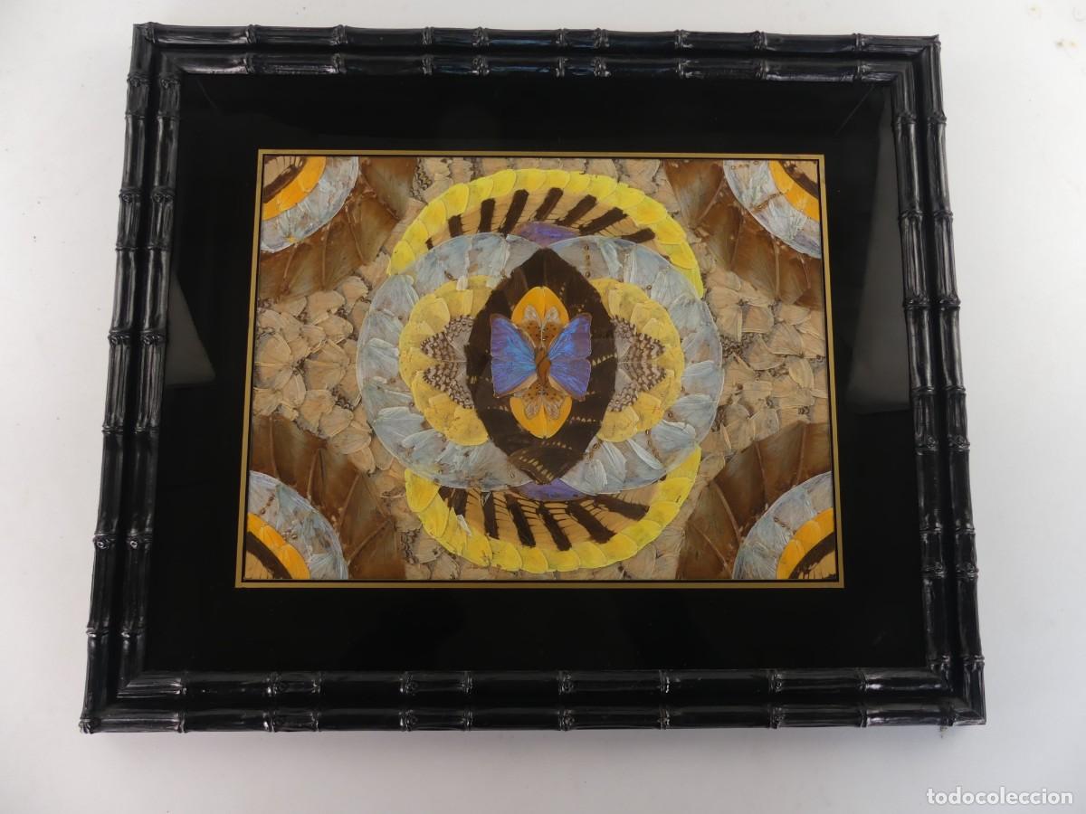 Andere Kunstgegenst&auml;nde: cuadro decorativo elaborado con alas de mariposa reales
