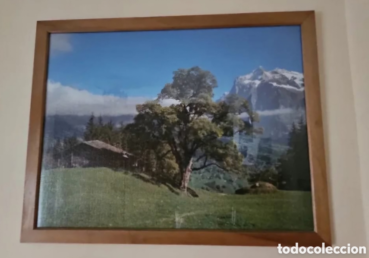 Otros objetos de arte: Puzzle enmarcado Arbol