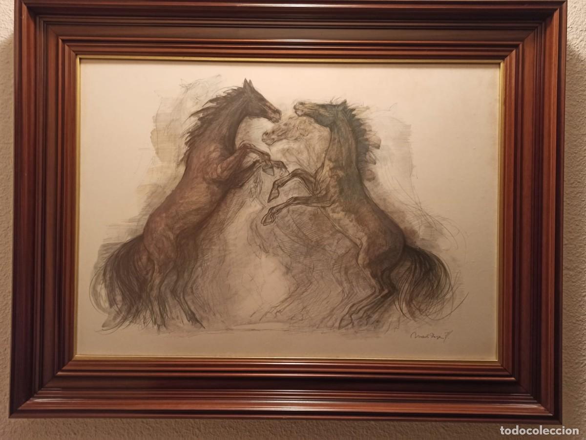 Otros objetos de arte: CUADRO PELEA DE CABALLOS ACUARELA MEDIDAS MARCO LARGO 105 ANCHO 80 PINTURA 84 X 59 CENTIMRETOS