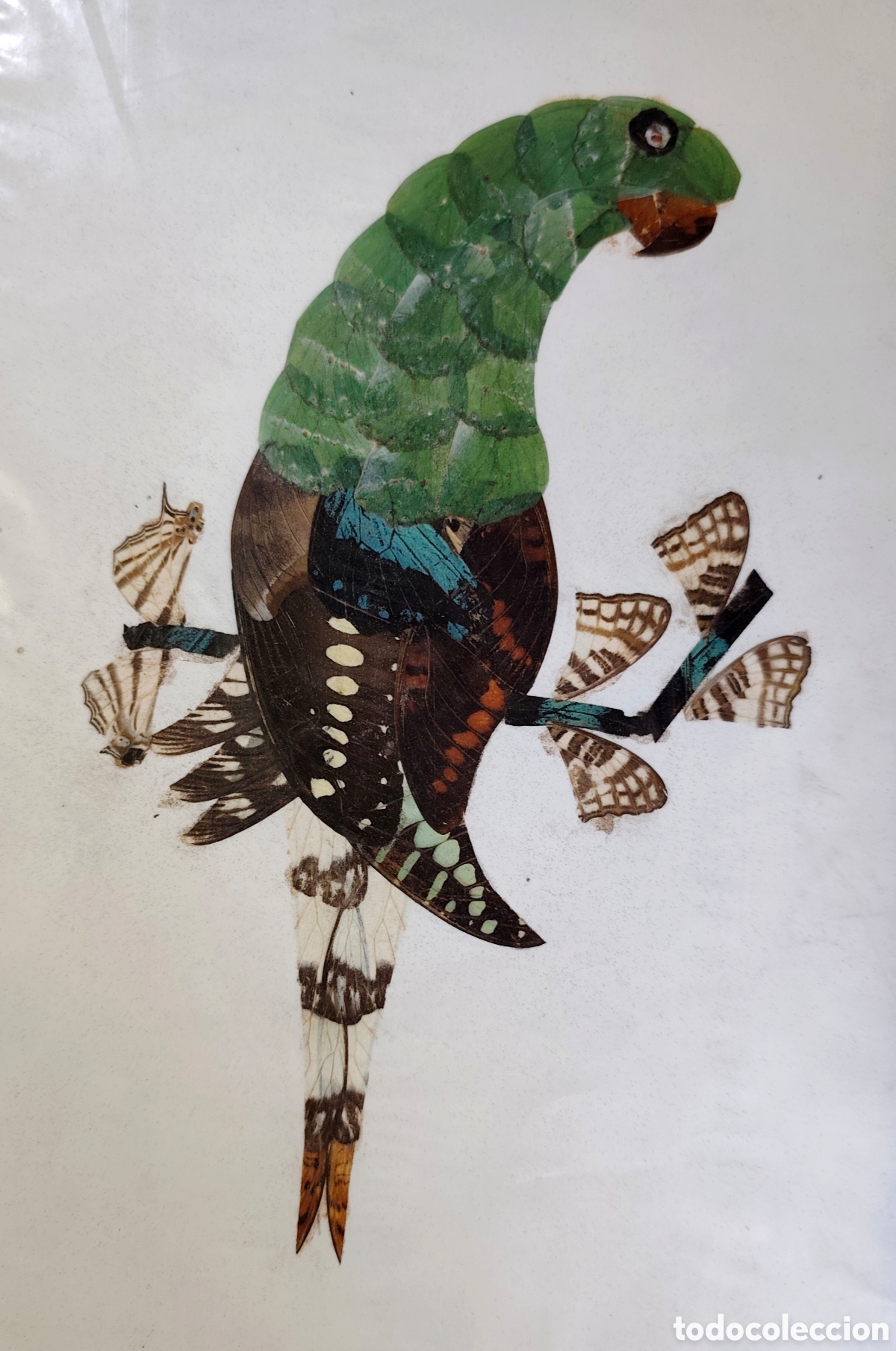 Otros objetos de arte: Collage arte entomologico con alas de mariposa. A&ntilde;os 70