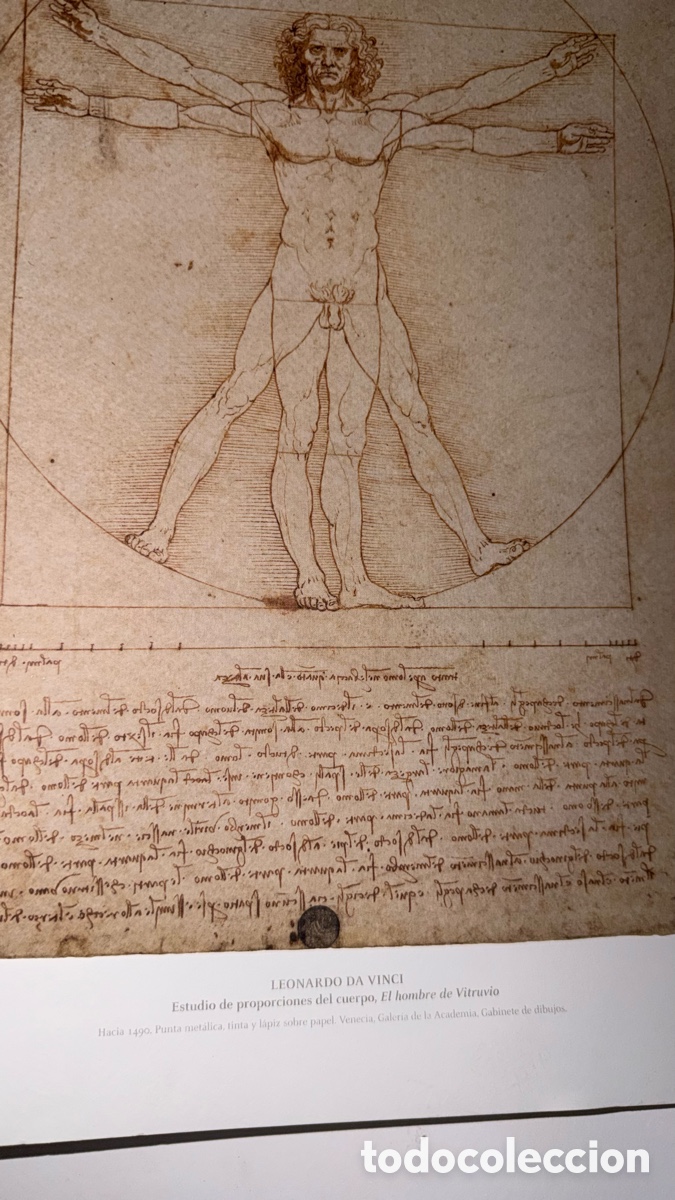 Otros objetos de arte: Leonardo 500 &ndash; Leonardo da Vinci edici&oacute;n skel art - Foto 6