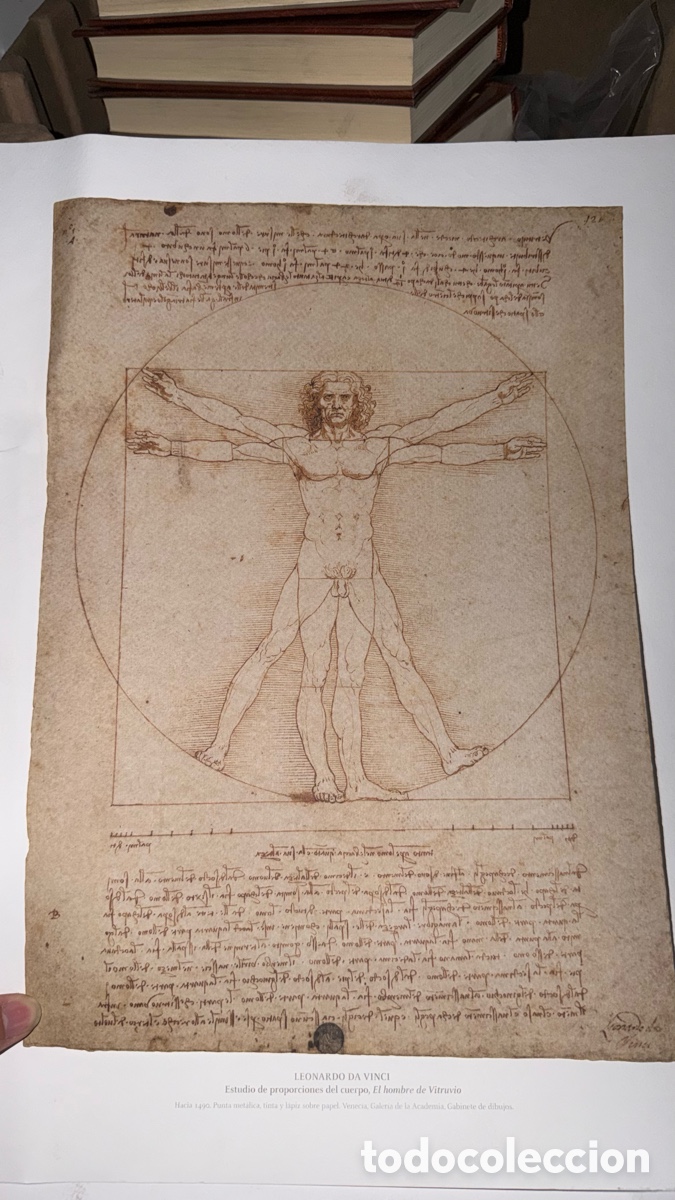 Otros objetos de arte: Leonardo 500 &ndash; Leonardo da Vinci edici&oacute;n skel art - Foto 7