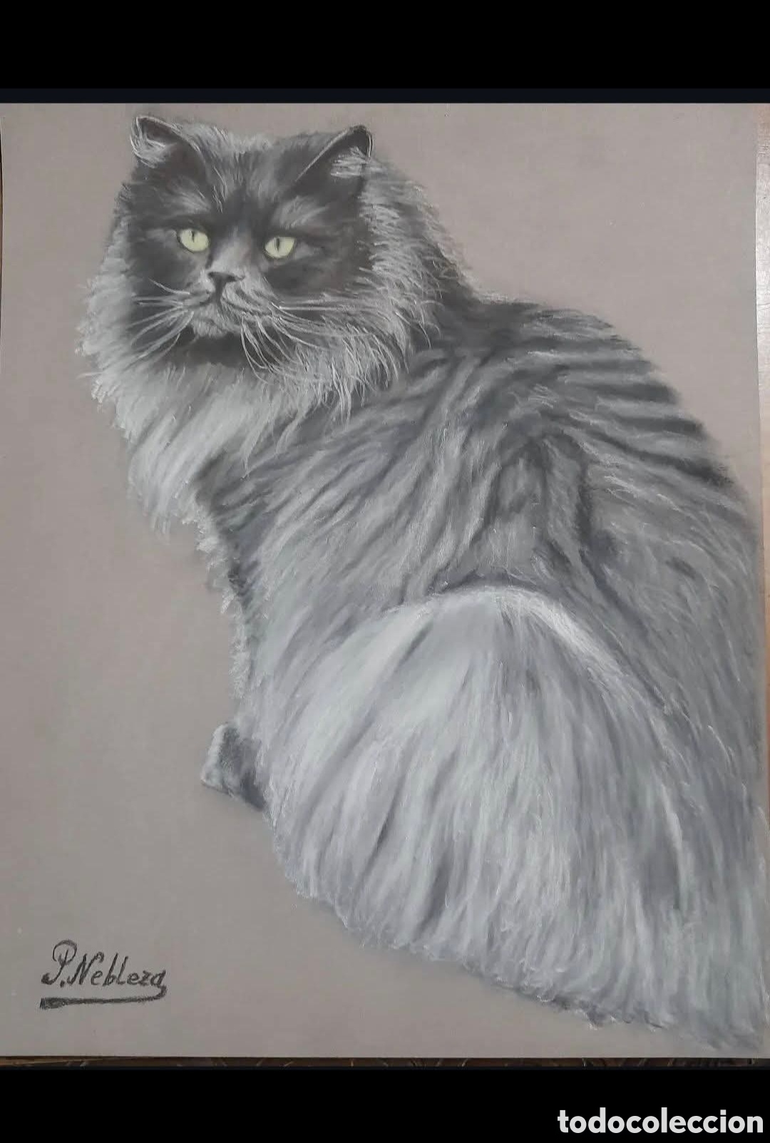 Otros objetos de arte: Cuadro t&eacute;cnica pastel