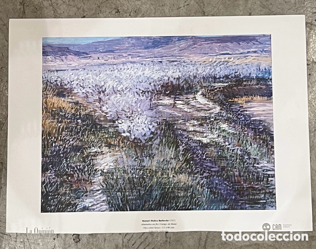Art: MU&Ntilde;OZ BARBERAN, Manuel. &ldquo;Almendros en flor (campo de Mula)&rdquo;. CAM. 1995.