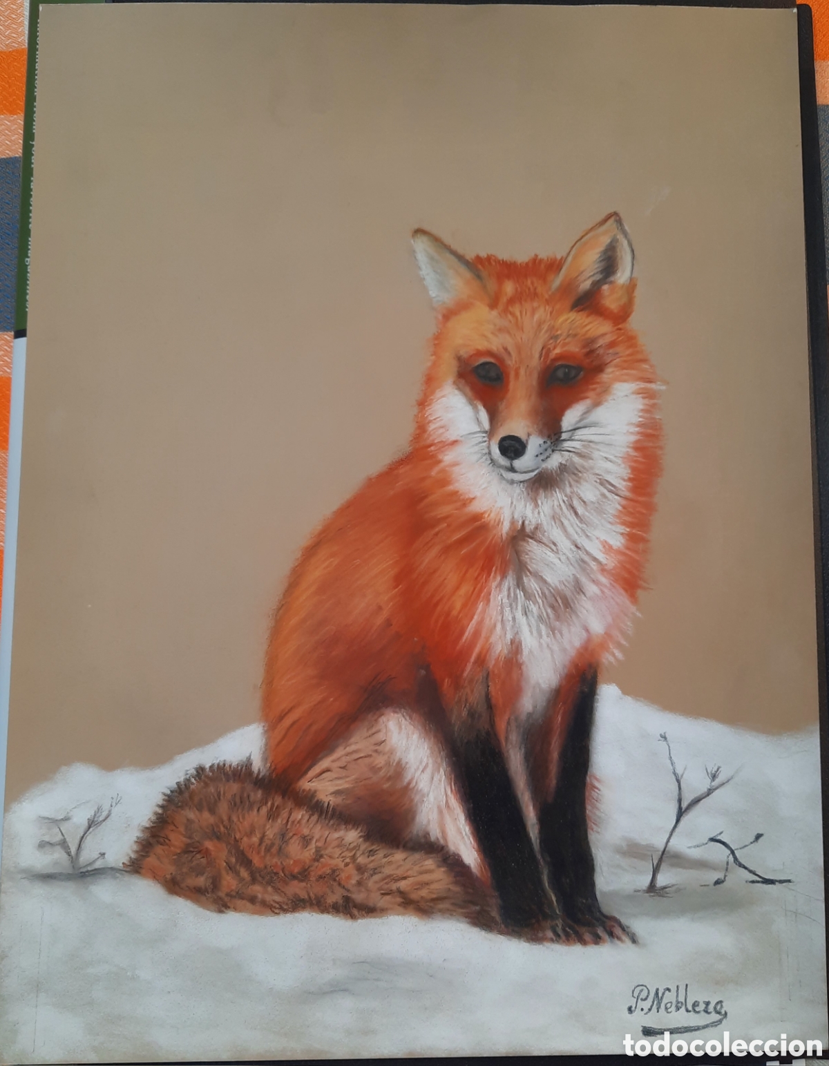 Otros objetos de arte: Cuadro t&eacute;cnica pastel - Foto 1