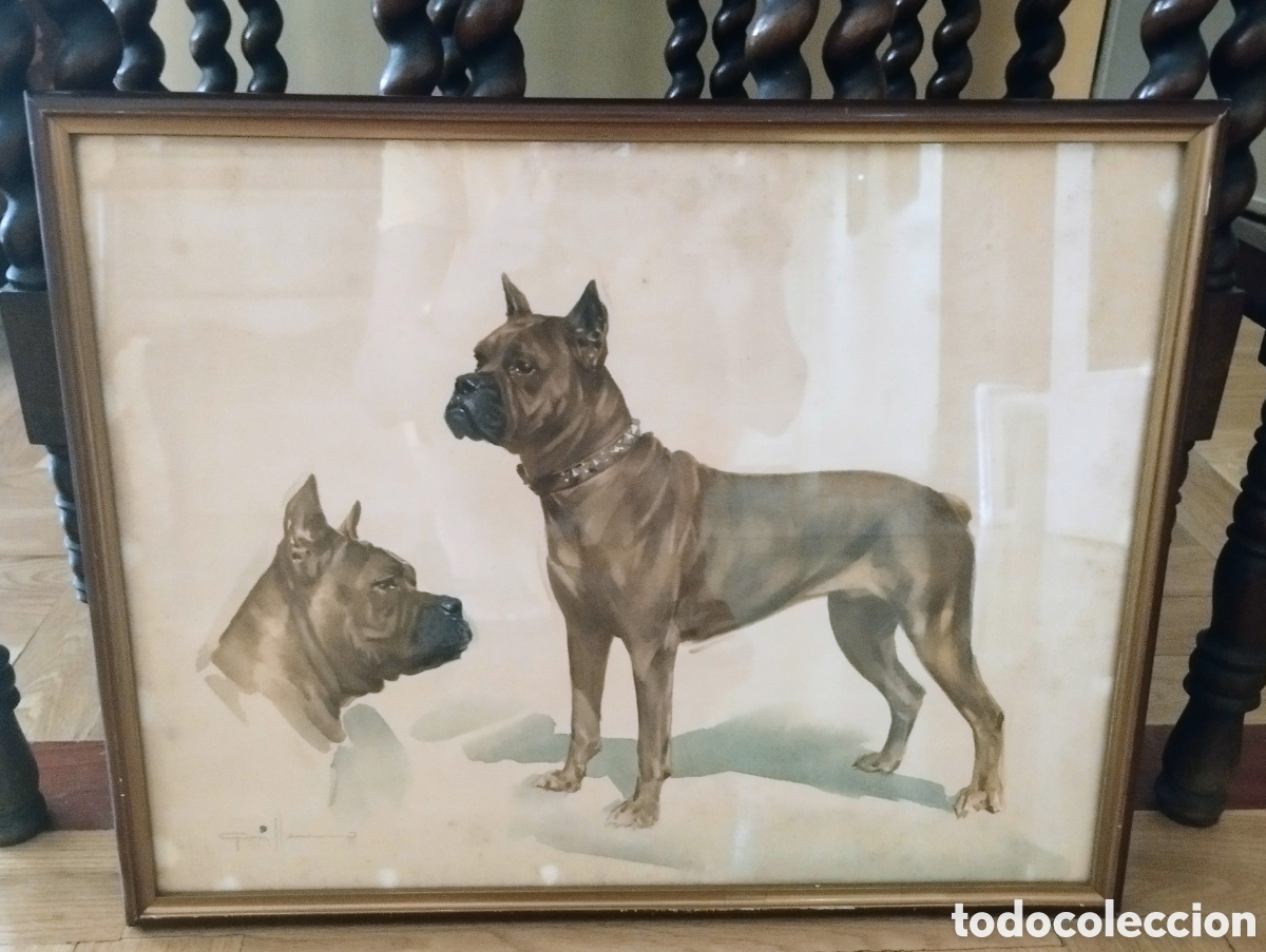 Otros objetos de arte: Cuadro acuarela antiguo