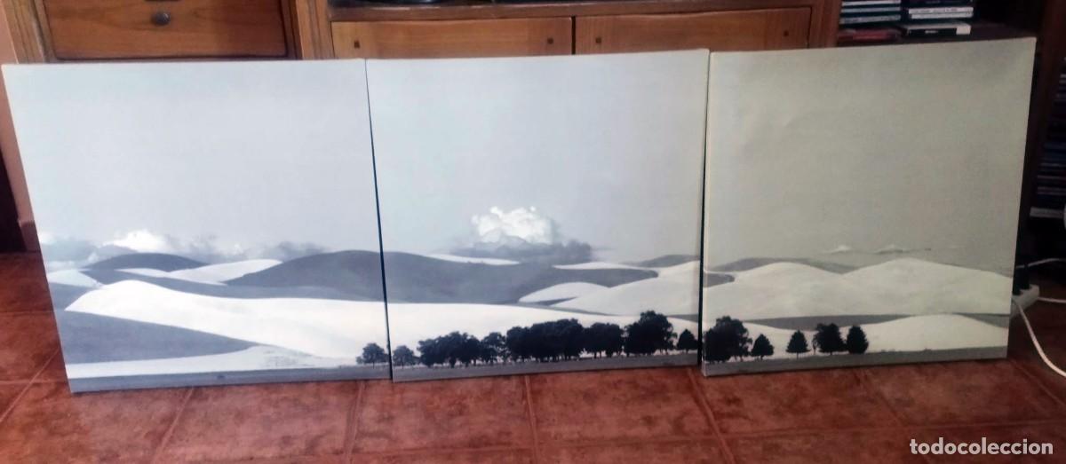 Otros objetos de arte: Tres cuadros del fot&oacute;grafo - Paul Edmondson &rdquo;Dunas&rdquo;56 cm. x 56 cm. lienzos de la serie IKEA PJ&Auml;TTERY