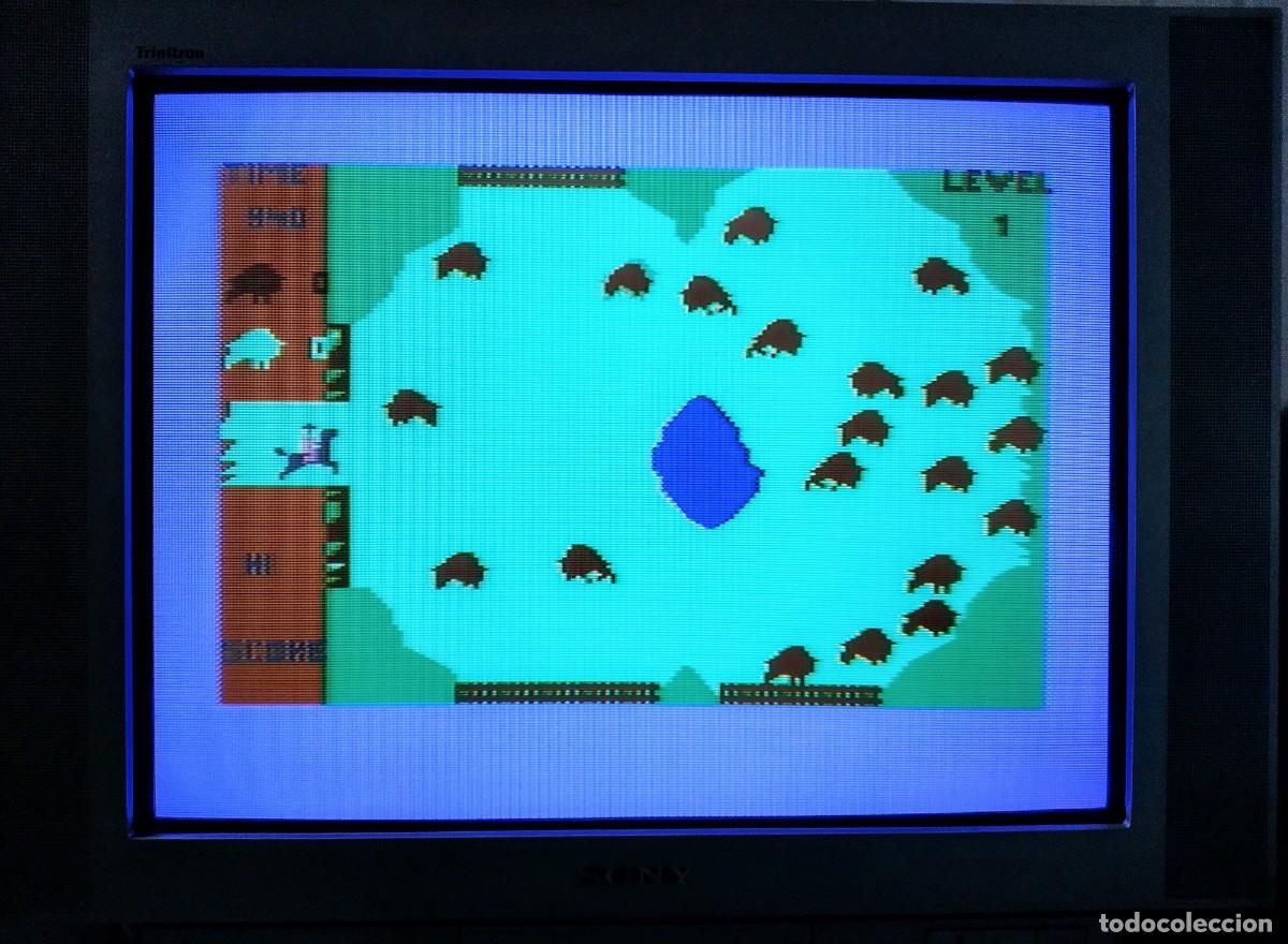 Videojuegos y consolas: BUFFALO ROUND UP (BUFFALO ROUNDUP). COMMODORE 64 C64 - Foto 12