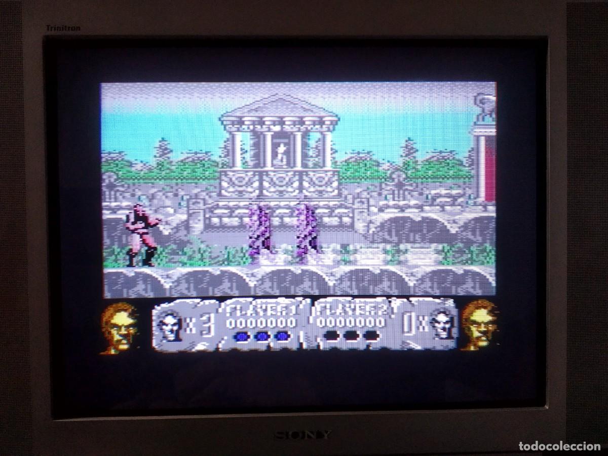 Videojuegos y consolas: ALTERED BEAST. SEGA - ACTIVISION. COMMODORE 64 C64. - Foto 19