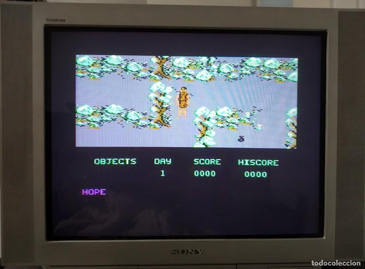 Videojuegos y consolas: DANTES INFERNO. DENTON DESIGNS. COMMODORE 64 C64 - Foto 18