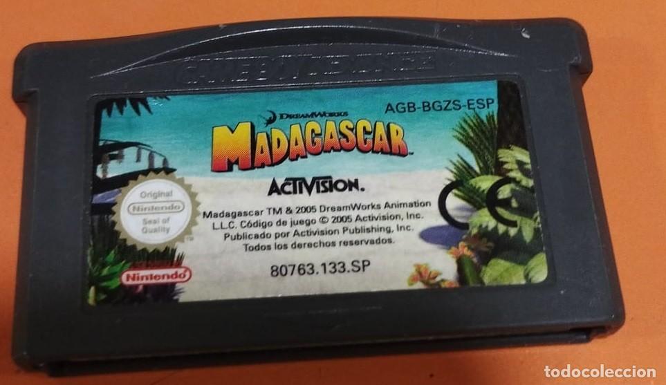 Videojuegos y consolas: Madagascar [Game Boy Advance] - Foto 1