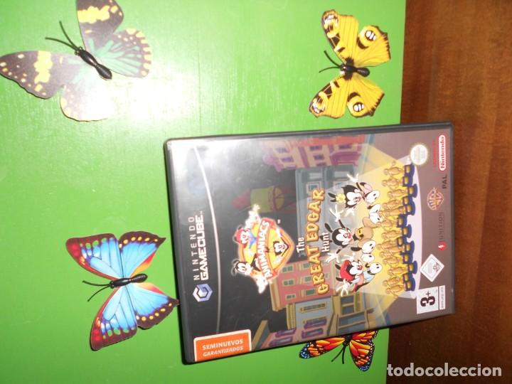download gamecube animaniacs the great edgar hunt