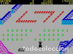 Videojuegos y consolas: Pedro [Creative Technology] 1984 Imagine Software Ltd [ZX Spectrum] - Foto 5