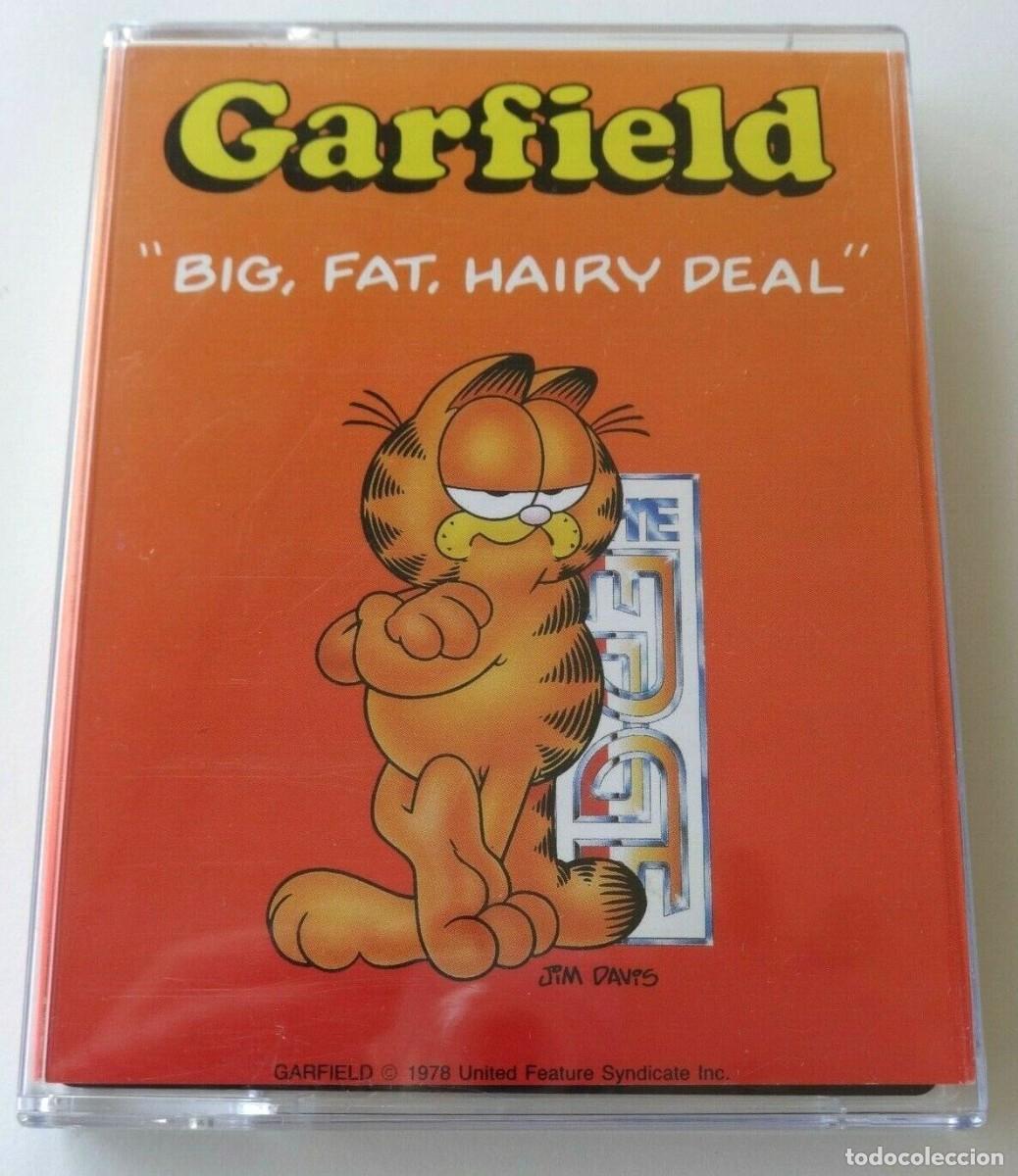Videojuegos y consolas: GARFIELD SPECTRUM - Foto 1