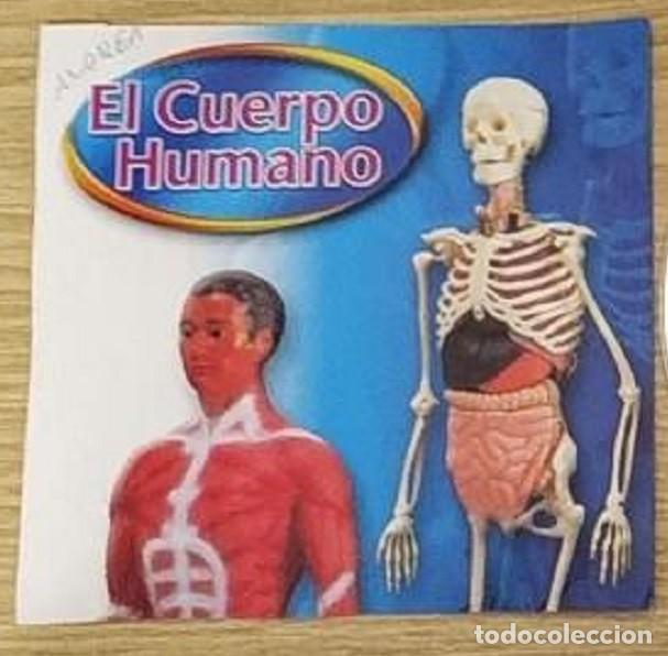 Videojuegos y consolas: CDROM - EL CUERPO HUMANO - Foto 1
