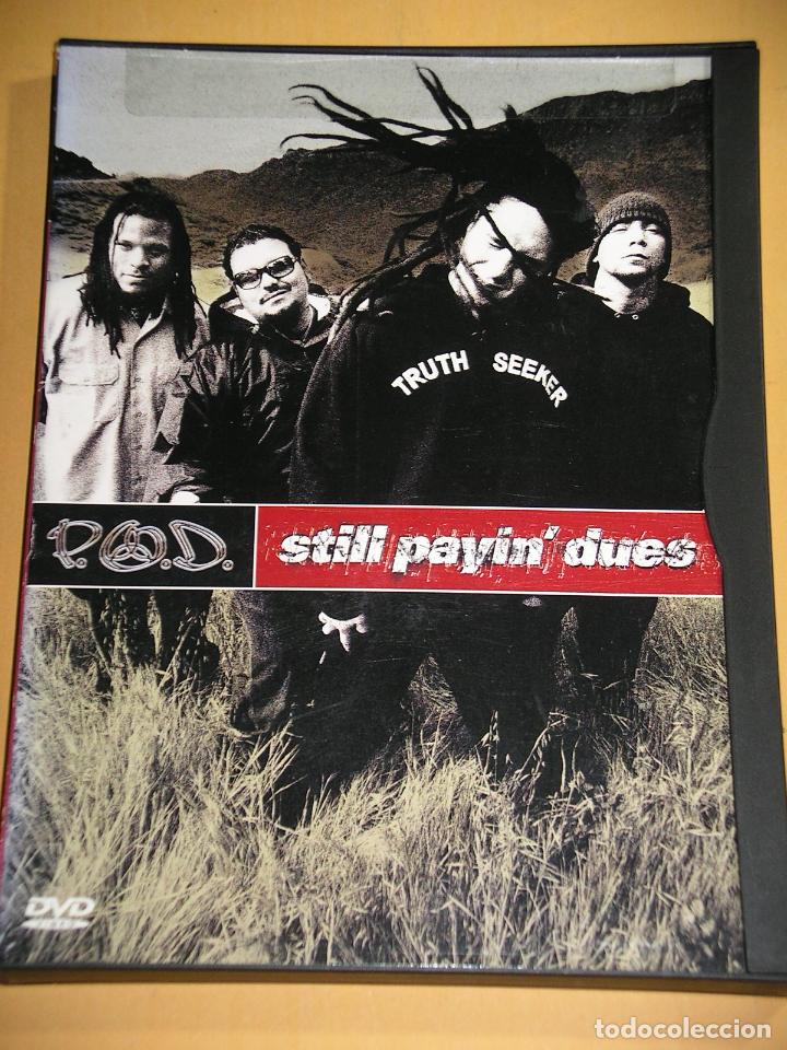 Music Videos and DVDs: P.O.D. Still payin&acute; dues, DVD, POD, ercom D12