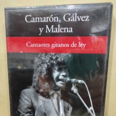 Vídeos y DVD Musicales: CAMARÓN, GÁLVEZ Y MALENA / CANTAORES GITANOS DE LEY - DVD - RBA 2005, FLAMENCO. Lote 296612843