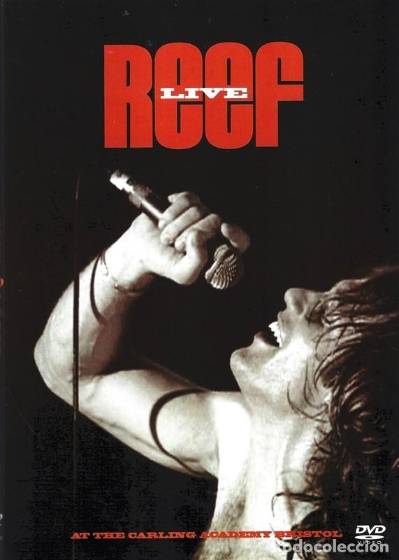 V&iacute;deos y DVD musicales: REEF &uml;LIVE&uml; - Foto 1